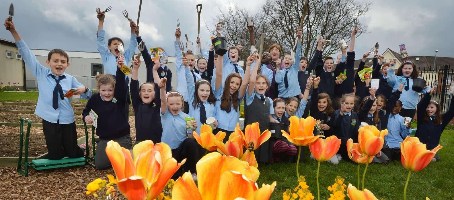 cung vui hoc tieng anh