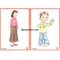 First Friends 2 Flashcards First Friends 2 Flashcards