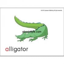 Sounds Great 1 Flash Cards Sounds Great 1 Flash Cards