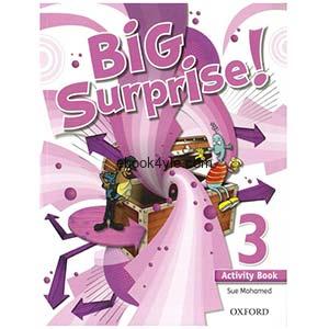 Big Surprise 3 Activity Book